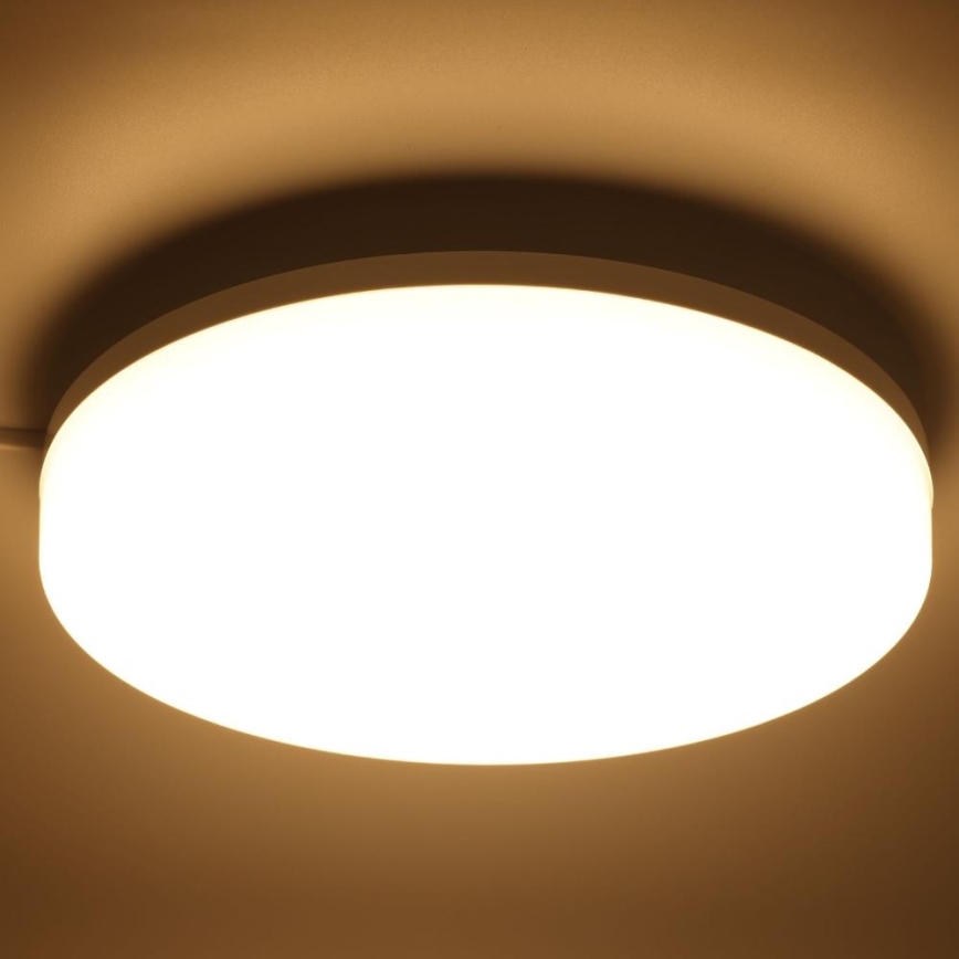 LED RGBW Stmívatelné koupelnové stropní svítidlo LED/20W/230V Wi-Fi IP44 bílá
