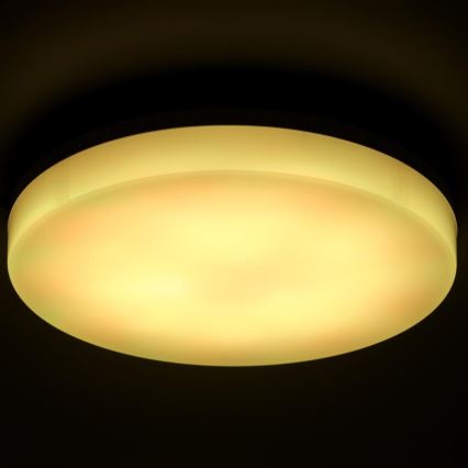 LED RGBW Stmívatelné koupelnové stropní svítidlo LED/20W/230V Wi-Fi IP44 bílá