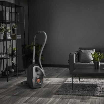 Rowenta - Vysavač GREEN FORCE MAX ECO 900W/230V černá