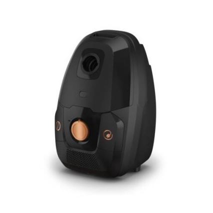 Rowenta - Vysavač GREEN FORCE MAX ECO 900W/230V černá