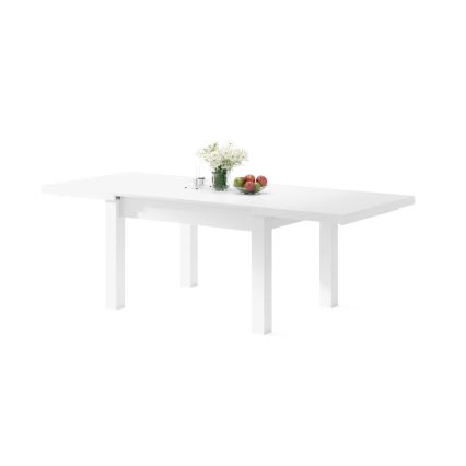 Rozkládací jídelní stůl pro 12 osob RALF 120/270x90 cm bílá