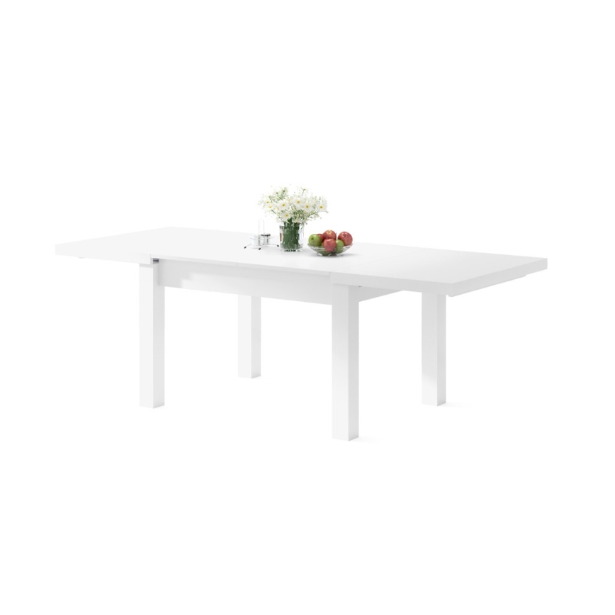 Rozkládací jídelní stůl pro 12 osob RALF 120/270x90 cm bílá