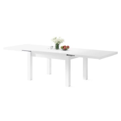 Rozkládací jídelní stůl pro 12 osob RALF 120/270x90 cm bílá