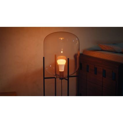SADA 2x LED Stmívatelná žárovka Philips Hue WHITE AND COLOR AMBIANCE E27/6W/230V 1000-20000K