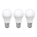 SADA 3x LED Žárovka ECOLINE A60 E27/15W/230V 6500K - Brilagi