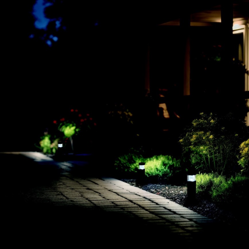 SADA 4x LED Solární lampa LED/0,06W/1,2V 1xAAA 6000K IP44 100 mAh