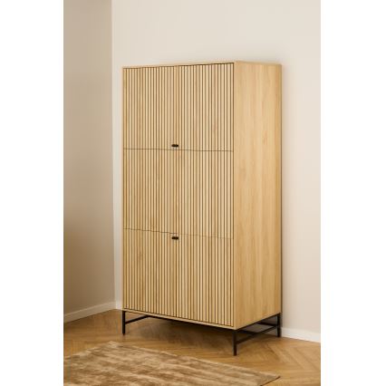 Šatní skříň OLIVIA 99x200 cm dub