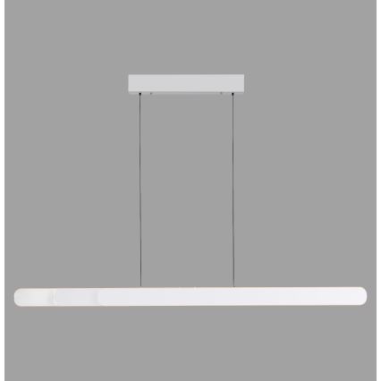 Schöner Wohnen 12577-16 - LED Stmívatelný lustr na lanku ADRIANA ROUND 2xLED/24W/230V 2700/3000/3500/4000/5000K 160 cm bílá