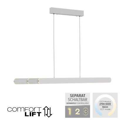 Schöner Wohnen 12577-16 - LED Stmívatelný lustr na lanku ADRIANA ROUND 2xLED/24W/230V 2700/3000/3500/4000/5000K 160 cm bílá