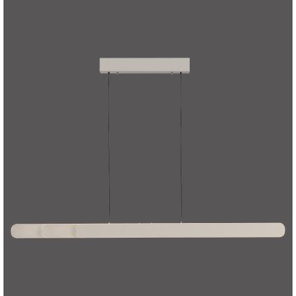 Schöner Wohnen 12577-39 - LED Stmívatelný lustr na lanku ADRIANA ROUND 2xLED/24W/230V 2700/3000/3500/4000/5000K 160 cm šedá