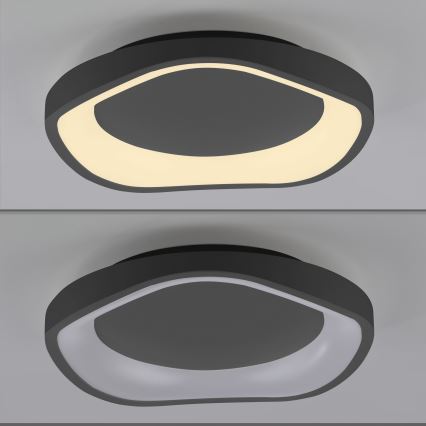 Schöner Wohnen 14233-18 - LED Stmívatelné stropní svítidlo MONTA LED/21W/230V pr. 40 cm černá