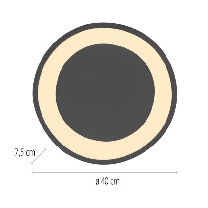 Schöner Wohnen 14233-18 - LED Stmívatelné stropní svítidlo MONTA LED/21W/230V pr. 40 cm černá