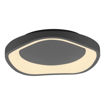 Schöner Wohnen 14233-18 - LED Stmívatelné stropní svítidlo MONTA LED/21W/230V pr. 40 cm černá