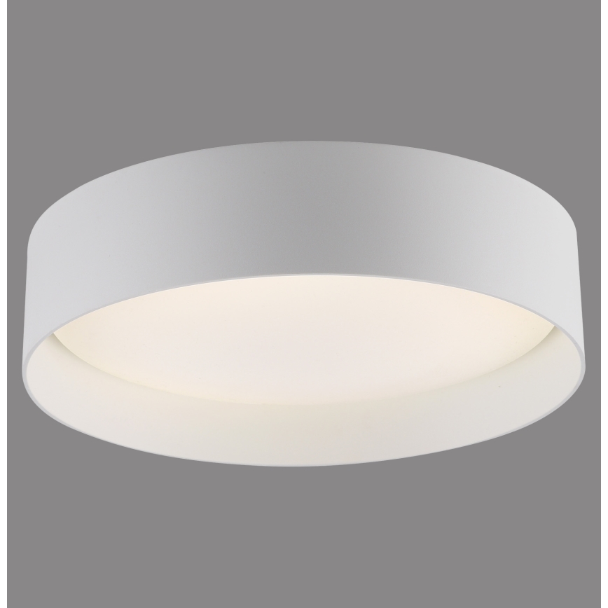 Schöner Wohnen 14593-16 - LED Stmívatelné stropní svítidlo TAVOLI LED/10W/230V 2700-6500K pr. 28,5 cm bílá + dálkové ovládání