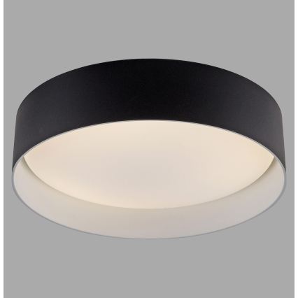 Schöner Wohnen 14593-18 - LED Stmívatelné stropní svítidlo TAVOLI LED/10W/230V 2700-6500K pr. 28,5 cm černá + dálkové ovládání