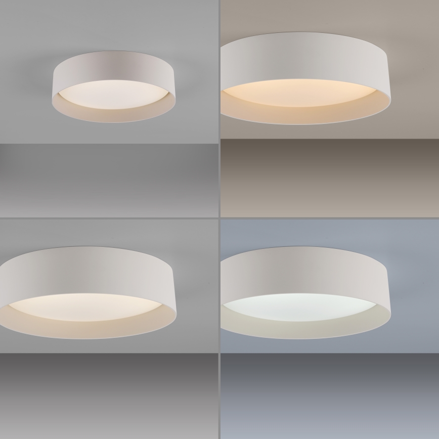 Schöner Wohnen 14593-39 - LED Stmívatelné stropní svítidlo TAVOLI LED/10W/230V 2700-6500K pr. 28,5 cm šedá + dálkové ovládání