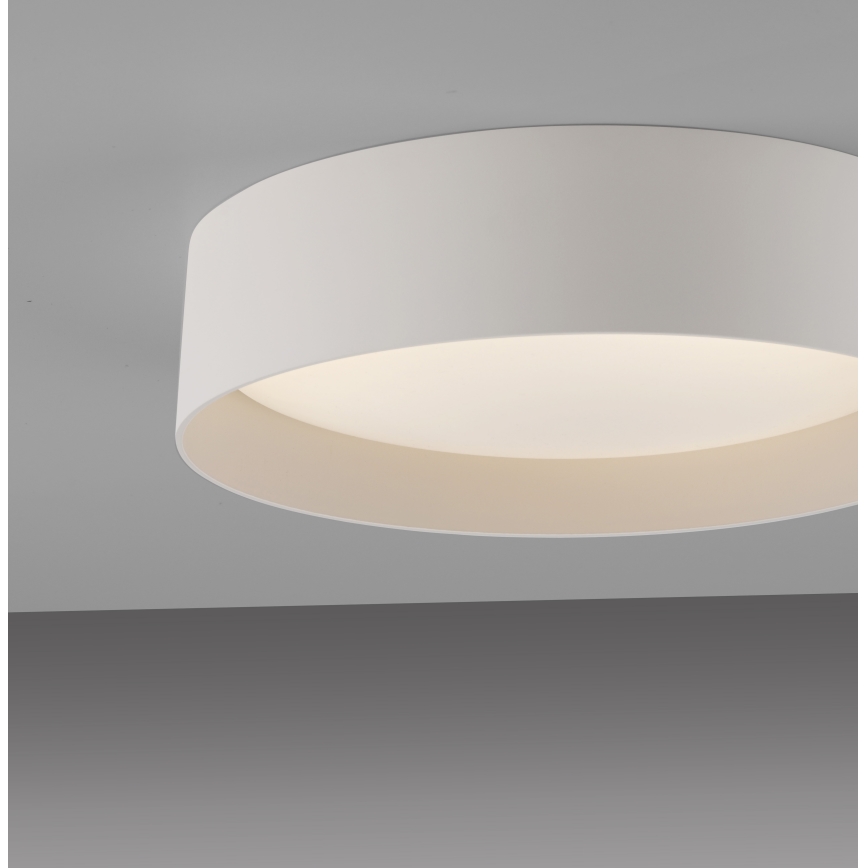 Schöner Wohnen 14593-39 - LED Stmívatelné stropní svítidlo TAVOLI LED/10W/230V 2700-6500K pr. 28,5 cm šedá + dálkové ovládání