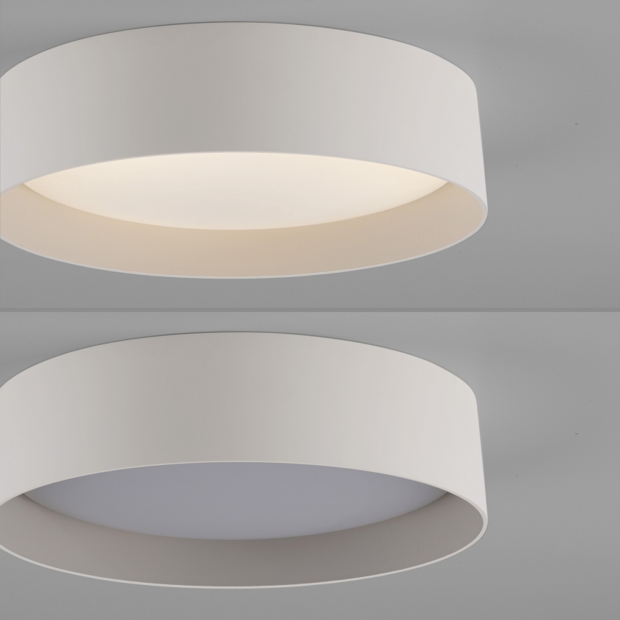 Schöner Wohnen 14593-39 - LED Stmívatelné stropní svítidlo TAVOLI LED/10W/230V 2700-6500K pr. 28,5 cm šedá + dálkové ovládání