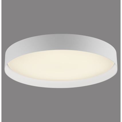 Schöner Wohnen 14595-16 - LED Stmívatelné stropní svítidlo TAVOLI LED/34W/230V 2700-6500K pr. 49 cm bílá + dálkové ovládání