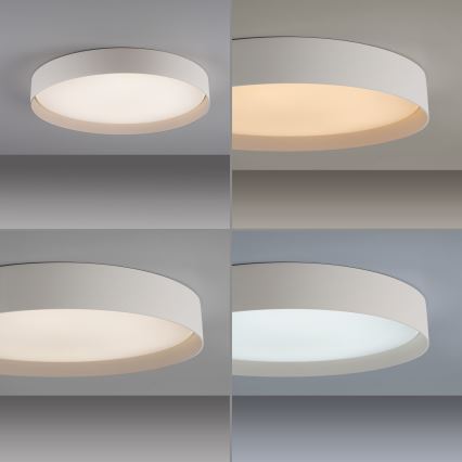 Schöner Wohnen 14595-39 - LED Stmívatelné stropní svítidlo TAVOLI LED/34W/230V 2700-6500K pr. 49 cm šedá + dálkové ovládání