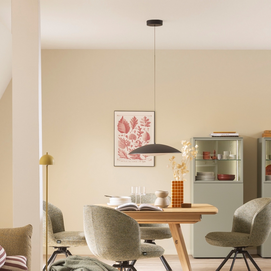 Schöner Wohnen 14606-18 - LED Stmívatelný lustr na lanku LENTE LED/17W/230V pr. 40 cm černá