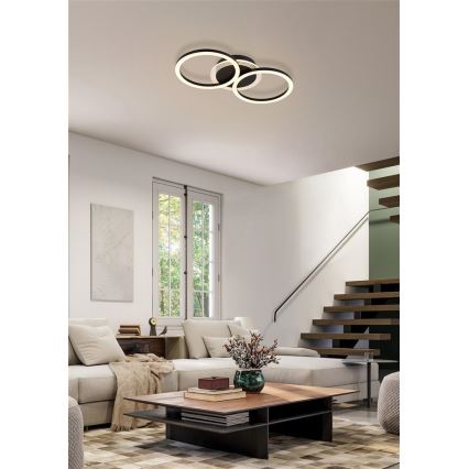 Searchlight - LED Stmívatelné stropní svítidlo CONTOUR LED/24W/230V 3000K