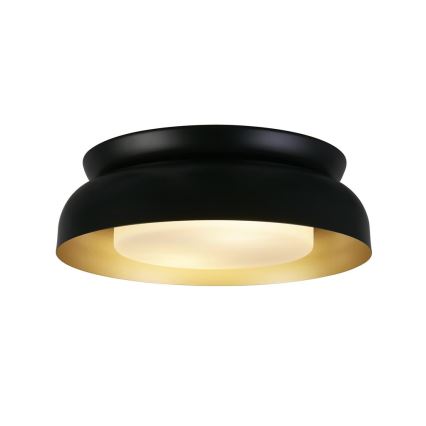 Searchlight - Stropní svítidlo KENDAL 1xE14/60W/230V