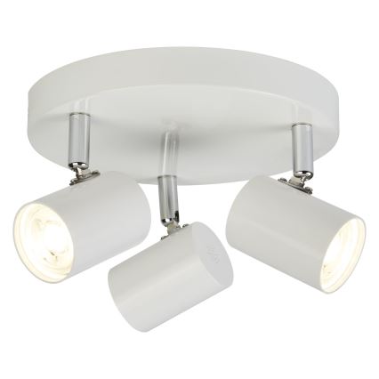 Searchlight - LED Bodové svítidlo ROLLO 3xLED/4W/230V bílá