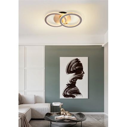 Searchlight - LED Stmívatelné stropní svítidlo SPECS LED/24W/230V 3000K 25x42,5 cm