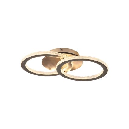 Searchlight - LED Stmívatelné stropní svítidlo SPECS LED/24W/230V 3000K 25x42,5 cm