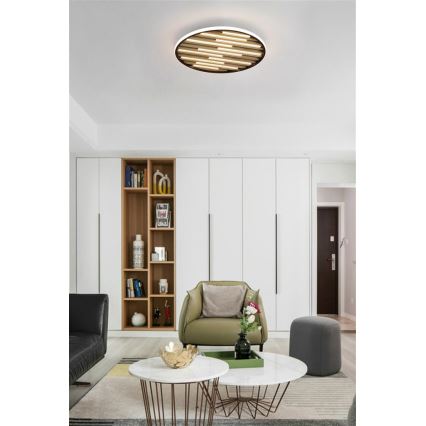 Searchlight - LED Stmívatelné stropní svítidlo EQUALISE LED/33W/230V