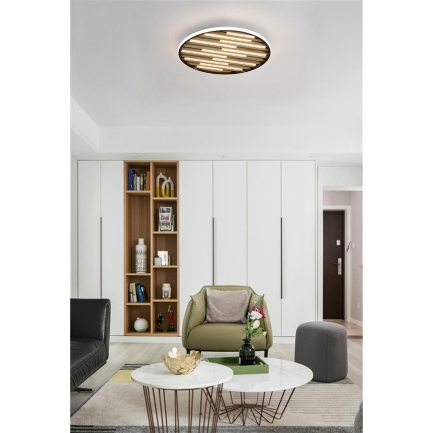 Searchlight - LED Stmívatelné stropní svítidlo EQUALISE LED/33W/230V