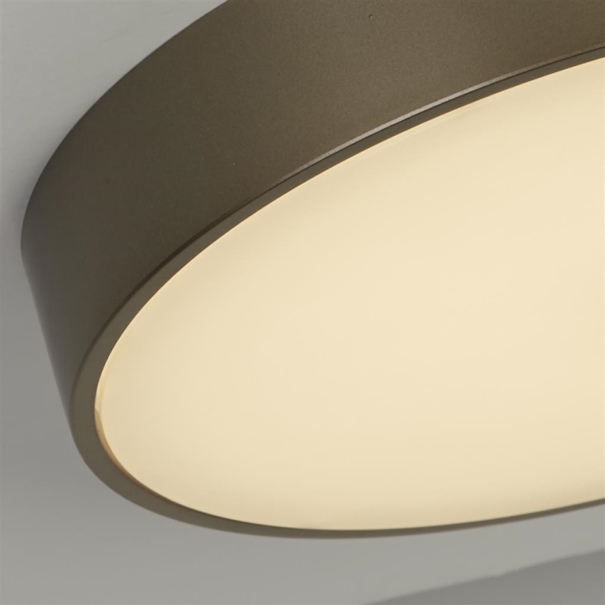 Searchlight - LED Stropní svítidlo PALMA LED/12W/230V 3000K pr. 25 cm bronzová