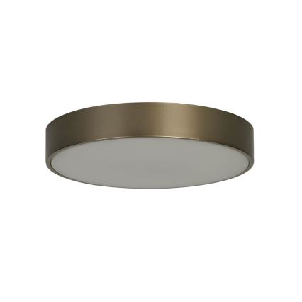 Searchlight - LED Stropní svítidlo PALMA LED/12W/230V 3000K pr. 25 cm bronzová