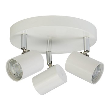 Searchlight - LED Bodové svítidlo ROLLO 3xLED/4W/230V bílá