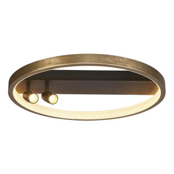 Searchlight - LED Stmívatelné stropní svítidlo GRACE LED/37,8W/230V