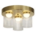 Searchlight - LED Stropní svítidlo HIGHBALL 3xLED/5,3W/230V pr. 30 cm