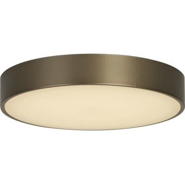 Searchlight - LED Stropní svítidlo PALMA LED/12W/230V 3000K pr. 25 cm bronzová