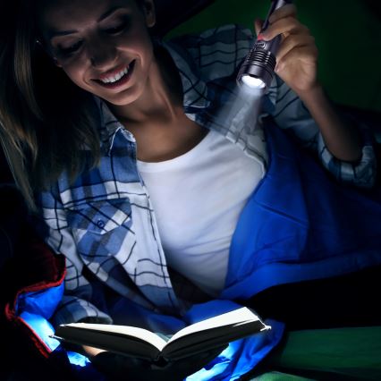 Sencor - LED Nabíjecí hliníková svítilna LED/5W/2200 mAh IP44