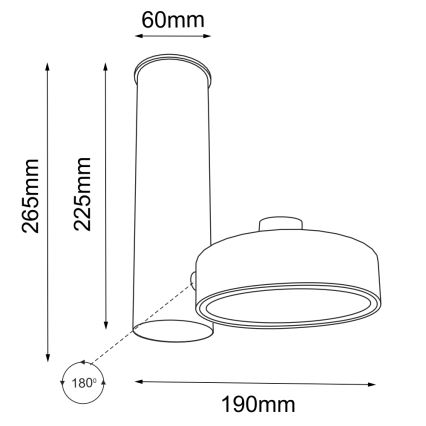 Shilo - Bodové svítidlo 1xGU10/15W/230V černá