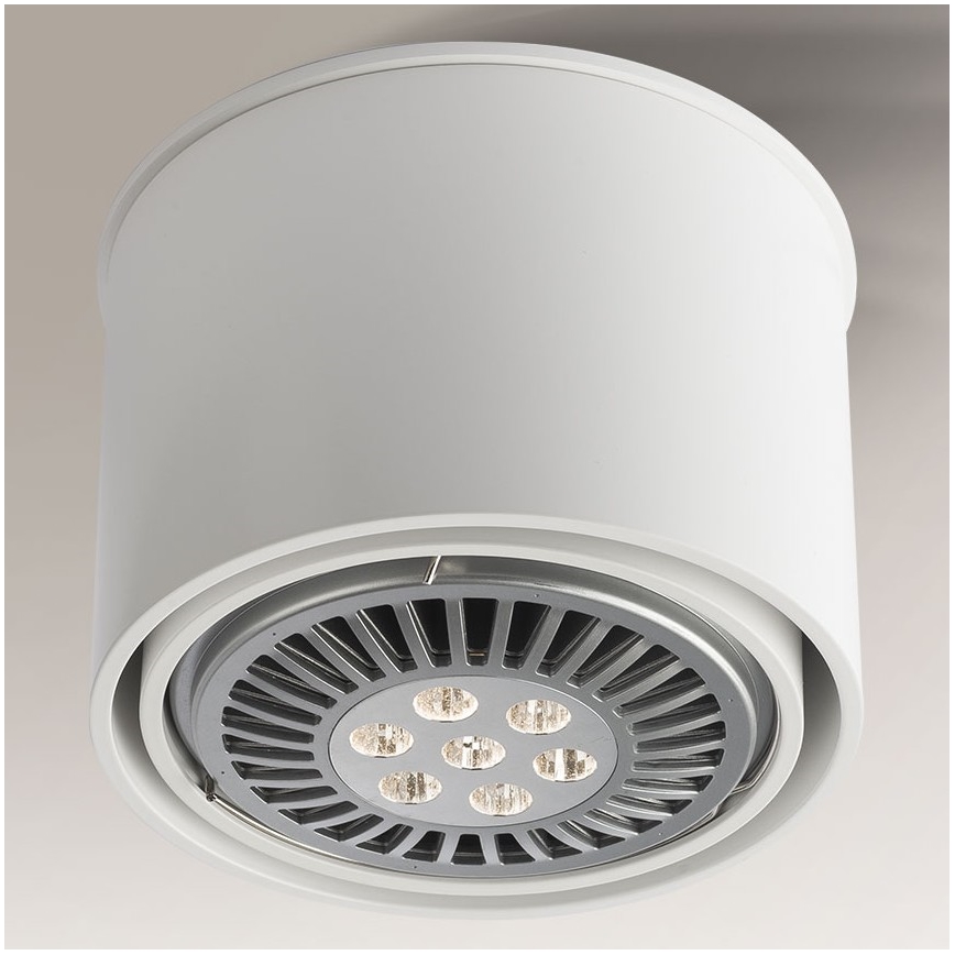 Shilo - Bodové svítidlo 1xGU10/15W/230V bílá