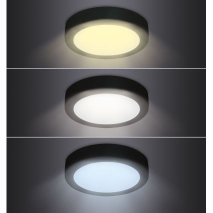 LED Stropní svítidlo LED/12W/230V 3000/4000/6000K černá kulatý