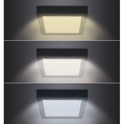 LED Stropní svítidlo LED/12W/230V 3000/4000/6000K černá hranatý