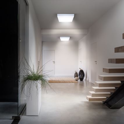 LED Stropní svítidlo LED/12W/230V 3000/4000/6000K 17x17 cm bílá