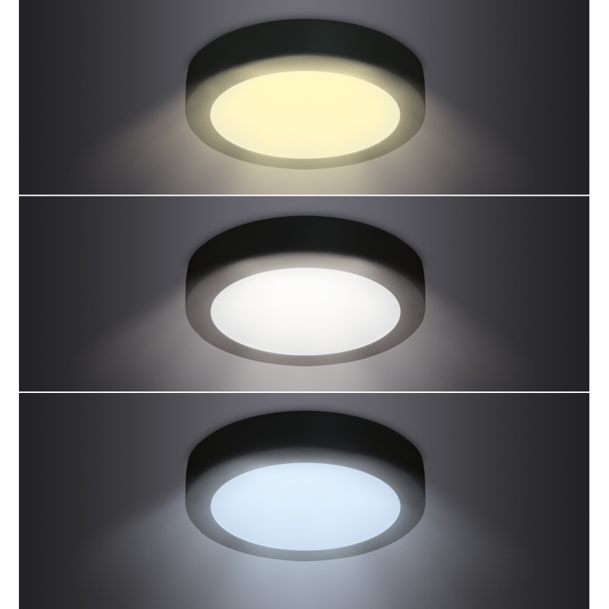 LED Stropní svítidlo LED/18W/230V 3000/4000/6000K černá kulatý