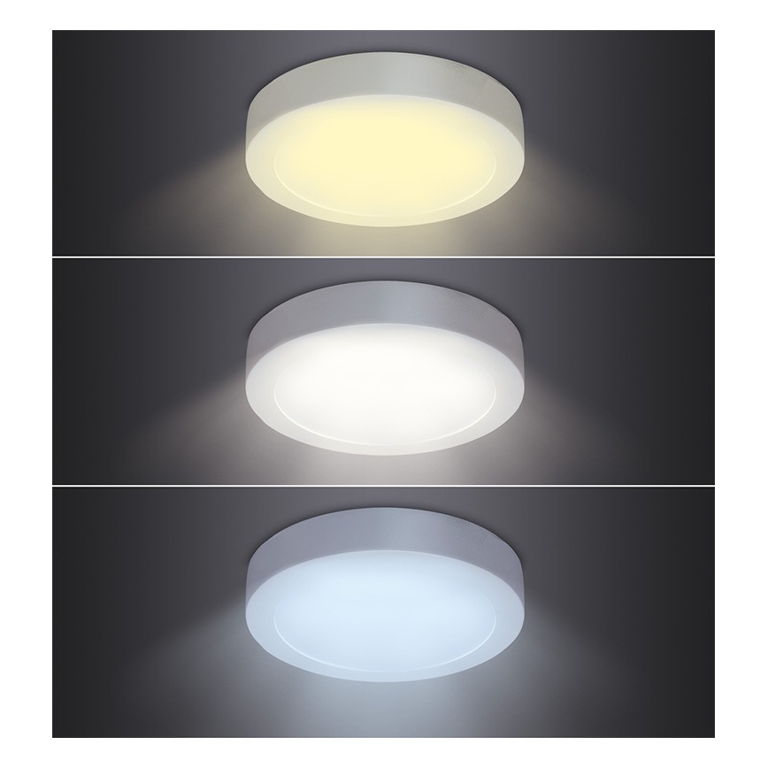 LED Stropní svítidlo LED/18W/230V 3000/4000/6000K pr. 22,5 cm bílá