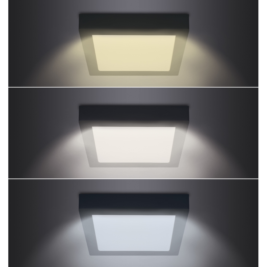 LED Stropní svítidlo LED/18W/230V 3000/4000/6000K černá hranatý