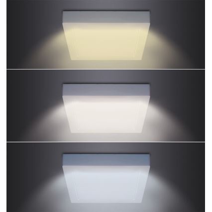 LED Stropní svítidlo LED/18W/230V 3000/4000/6000K 22,5x22,5 cm bílá