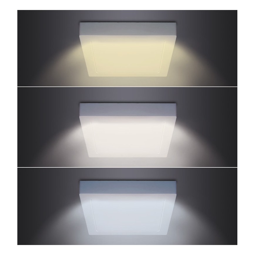 LED Stropní svítidlo LED/18W/230V 3000/4000/6000K 22,5x22,5 cm bílá