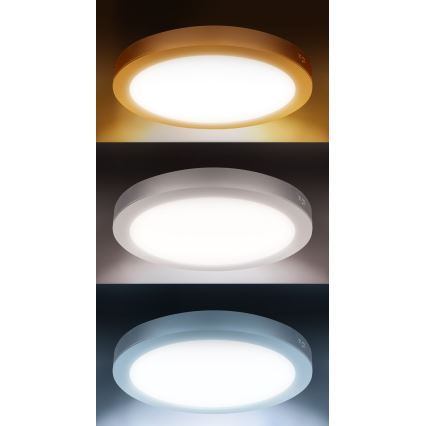 LED Přisazený/podhledový panel 2v1 24W/230V 3000/4000/6000K pr. 30 cm IP54 stř